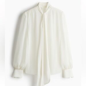 H&M Sheer Blouse